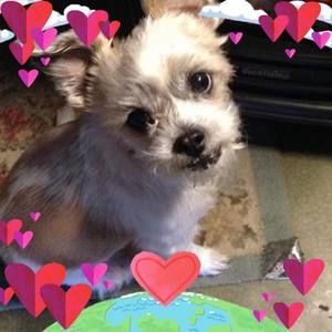 Meet your Posher, Sonja